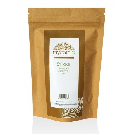 Shiitake Pilze