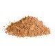 Reishi Houby